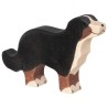 Bernese Dog