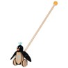 Pingouin Pablo à pousser