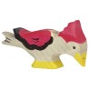pigeon