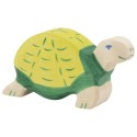 Holztiger Tortoise (Tortue Verte)